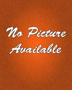 no-picture